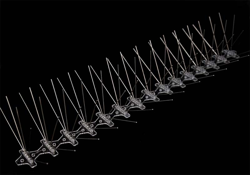 plastic base bird spike