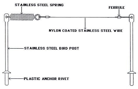 drawing of bird wire spring