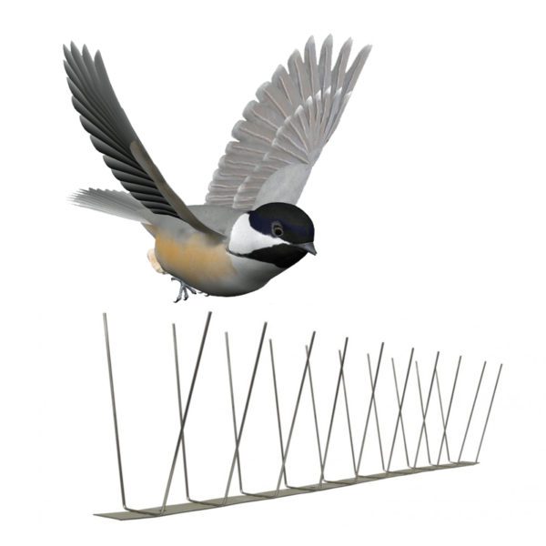 GKSS-11: 2 Rows Stainless Steel Bird & Animal Wall Spikes