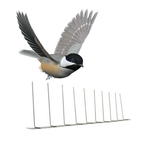 GKSS-2: Stainless Steel anti pigeon roosting scare away bird spike