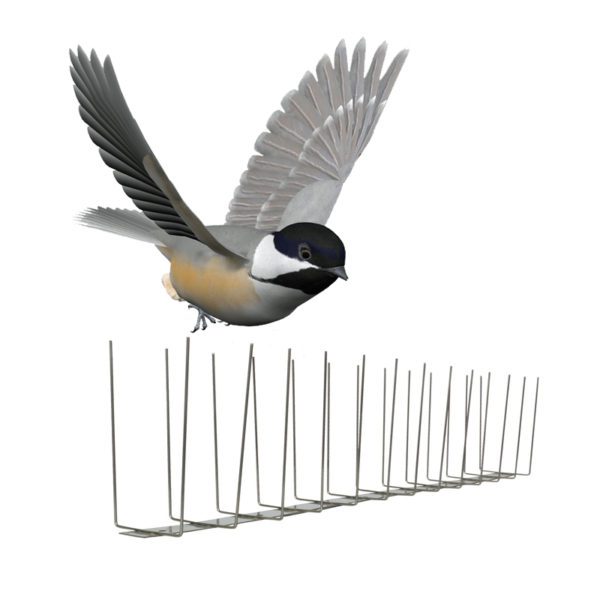 GKSS-4: Humane fence spikes to stop bird and animal