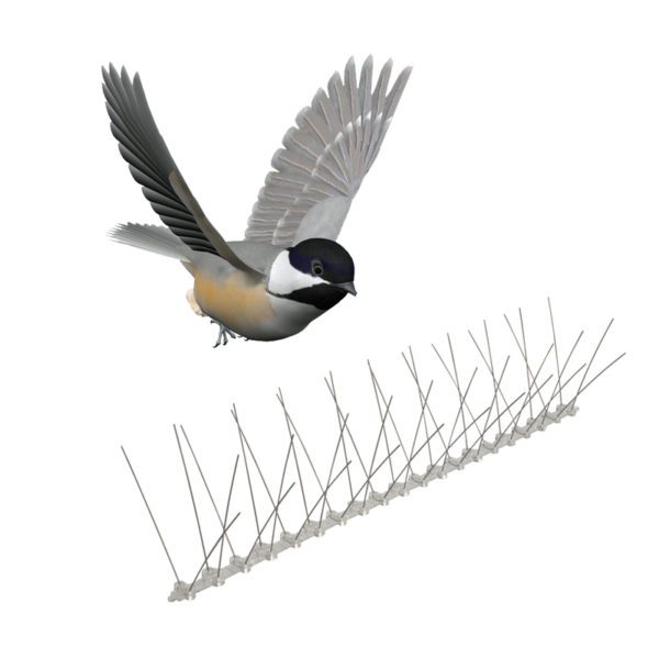 GKPC-41: Hot selling 4 rows Plastic base anti pigeon garden spikes
