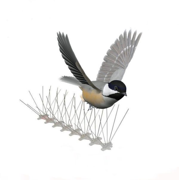 GKPC-44: Factory supplier 5 rows fence and wall anti pigeon spikes
