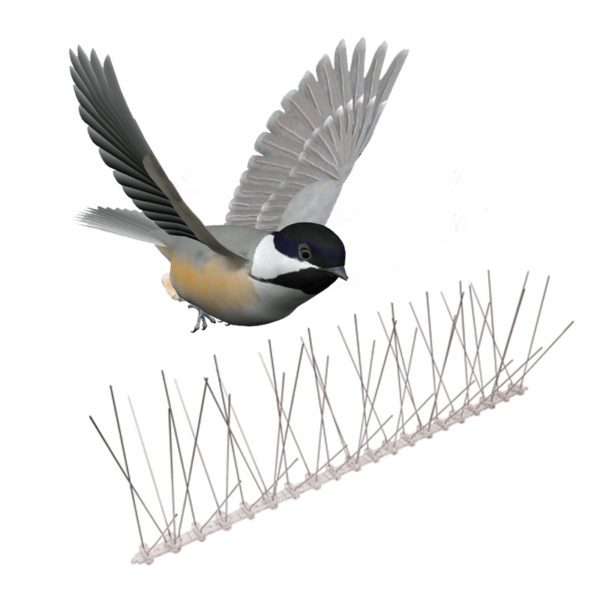 GKPC-56: 5 Rows Hot Sale Plastic Pigeon Control Bird Spikes
