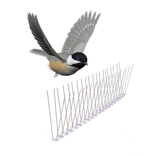 GKPC-64: Plastic anti bird spike natural pest control spikes