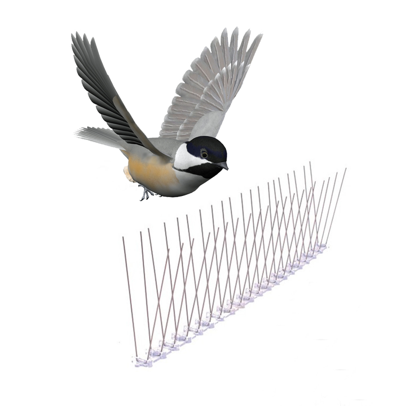 Polycarbonate Anti Pigeon Devices for Pigeon Control - China Polycarbonate  Anti Bird Spikes and Polycarbonate Bird Spike for Pest Repeller price