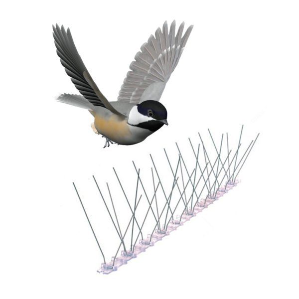 GKPC-65: UV Risisitant Stainless Steel Bird Feeder Anti Bird Spikes
