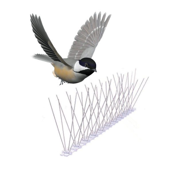 GKPC-66: Flexible base Plastic Pigeon Pest Control Spikes