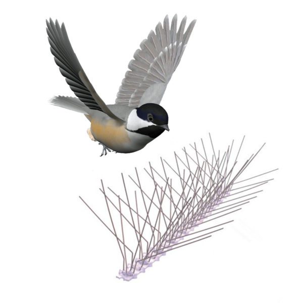 GKPC-68: Animal Control Type plastic bird resistance Pigeon Control Spikes
