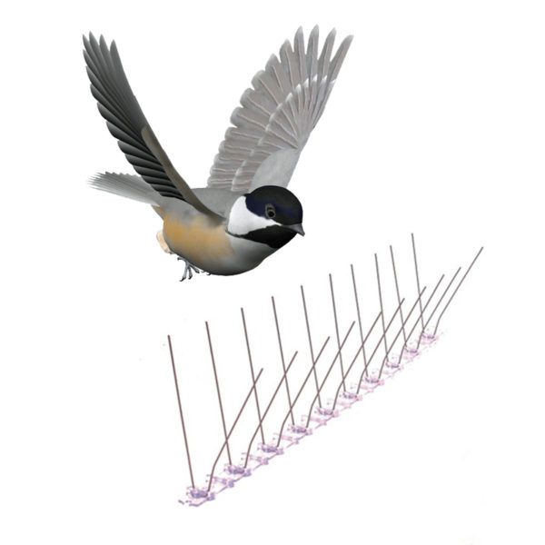 GKPC-70: Pigeon scarer devices pest bird control spikes