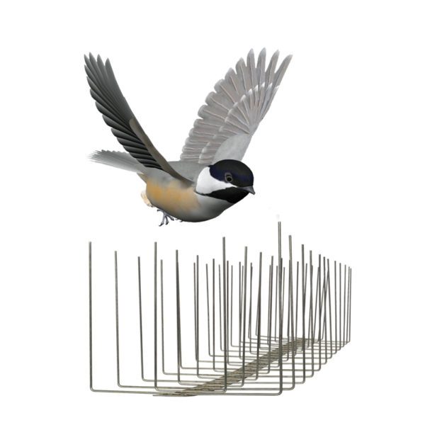 GKSS-8: Stainless steel pigeon control ground spikes