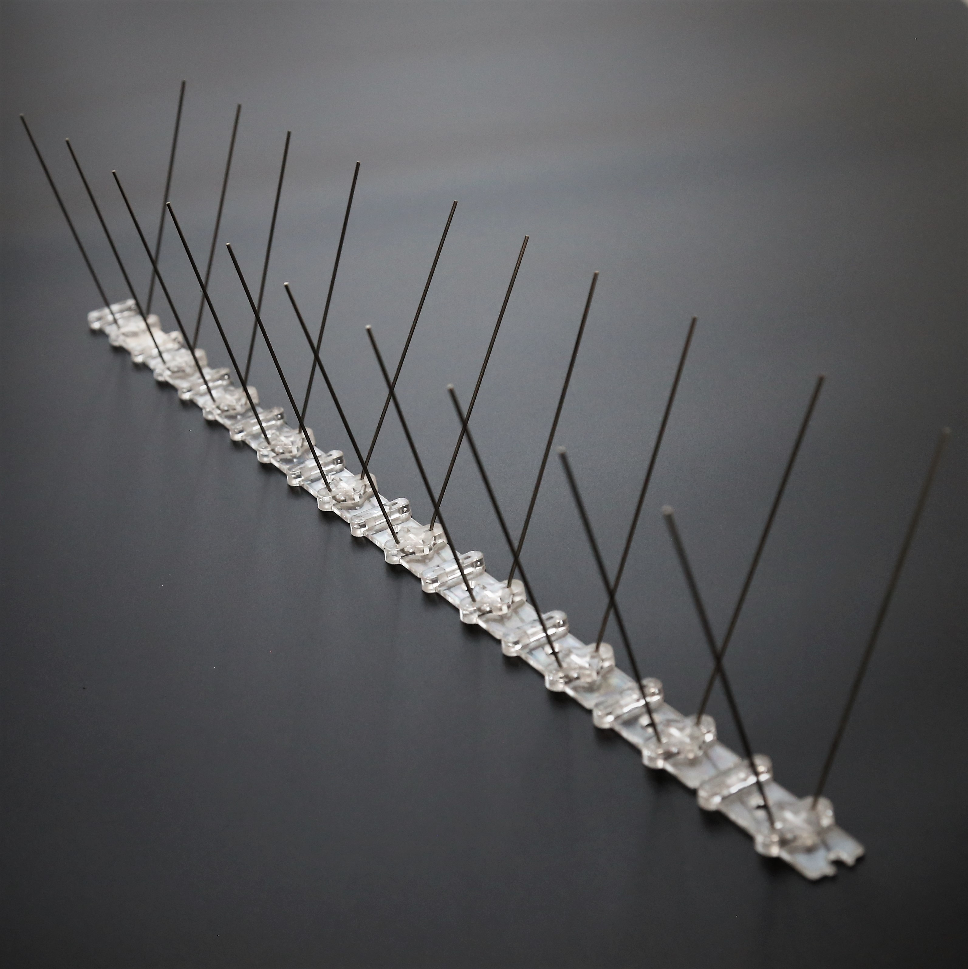 Homemade Anti Bird Spikes Homemade Ftempo