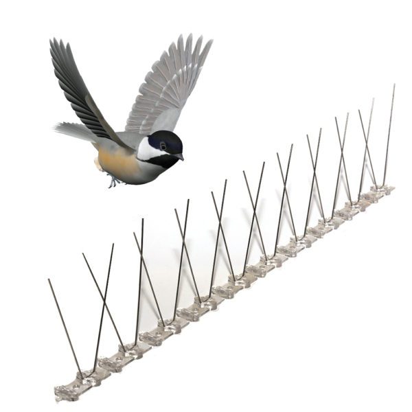 GKPC-21: Get rid of Pigeons effectively anti bird spikes