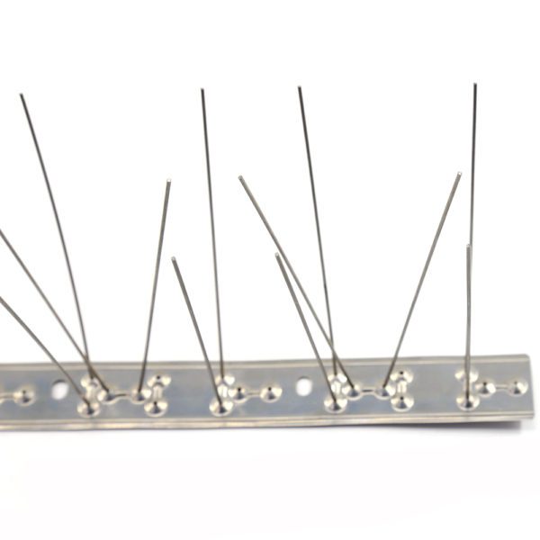 GKSS-43: Hot selling Stainless Steel Durable For Garden  Bird Control Spikes - Image 3