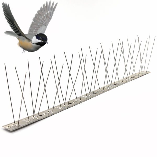 GKSS-43: Hot selling Stainless Steel Durable For Garden  Bird Control Spikes