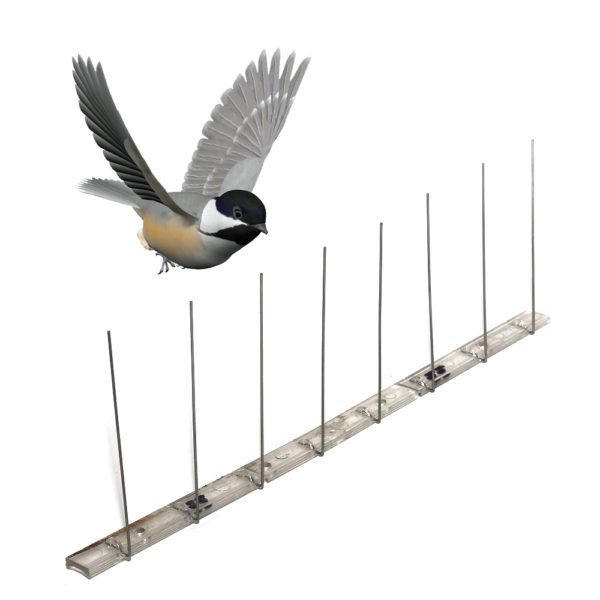 GKPC-22: Physical deterrent Animal Control Type bird resistance bird spikes