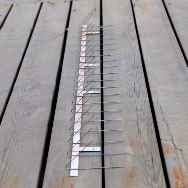 Bird pest control products stainless steel lowes bird spikes: GKSS-29