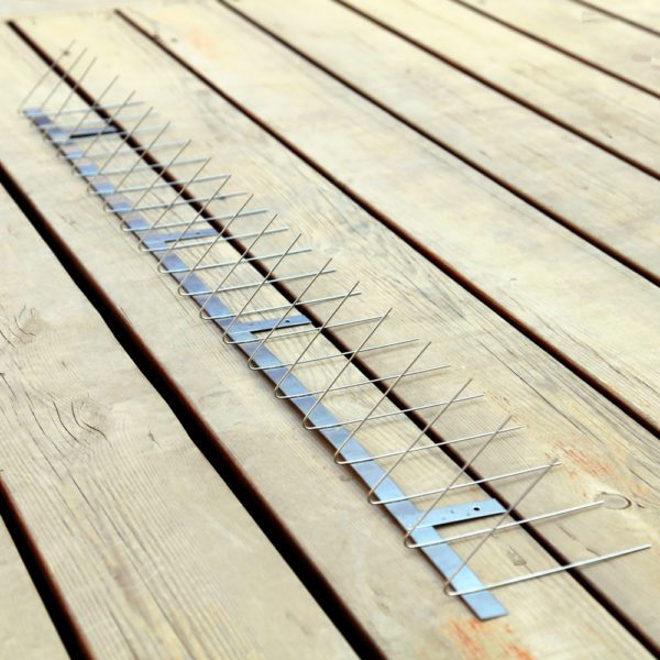 Bird pest control products stainless steel lowes bird spikes: GKSS-29 - Image 3