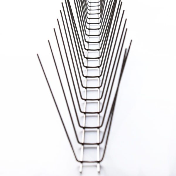 Bird control stainless steel wall spikes: GKSS-30 - Image 2