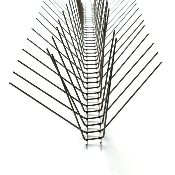 GKSS-31: Pigeon deterrent spikes work for small birds - Image 2