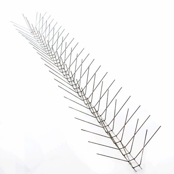 GKSS-31: Pigeon deterrent spikes work for small birds - Image 3