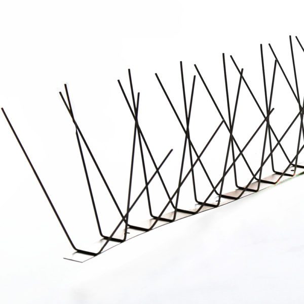 Bird Spike For Bird Control With SS304 Made In China Factory: GKSS-34 - Image 2