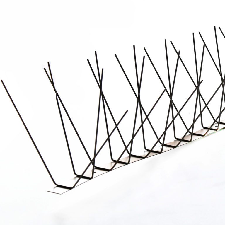 ss304 bird spike for bird watching Bird Spike Control