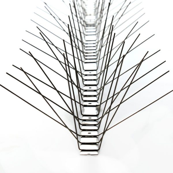 Stainless Steel Bird Rivets for Bath - Image 2