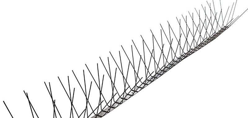 stainless steel bird spike long