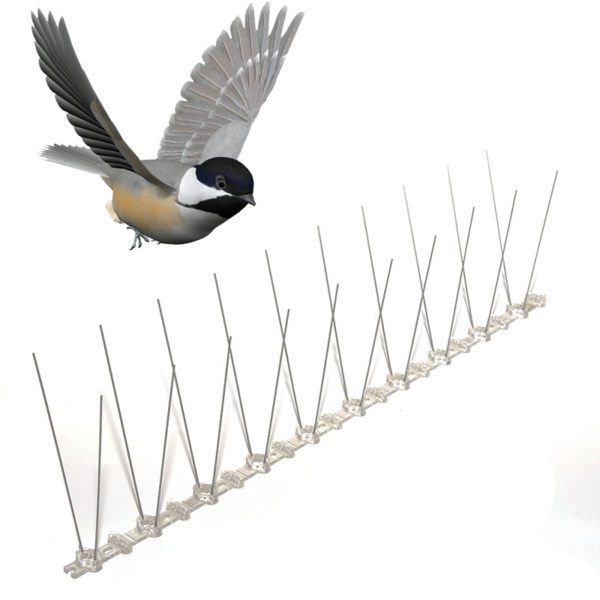 Plastic bird spike for small bird: GKPC-55