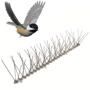 plastic bird spikes