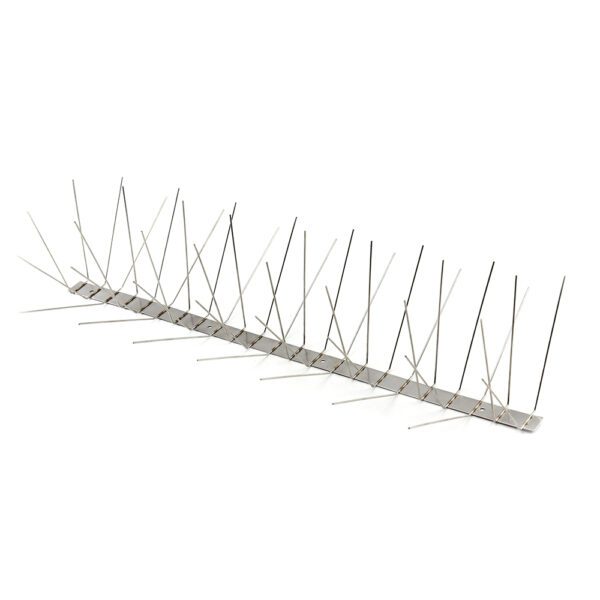 Stainless Steel Bird Rivets for Bath
