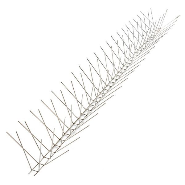 GKSS-31: Pigeon deterrent spikes work for small birds