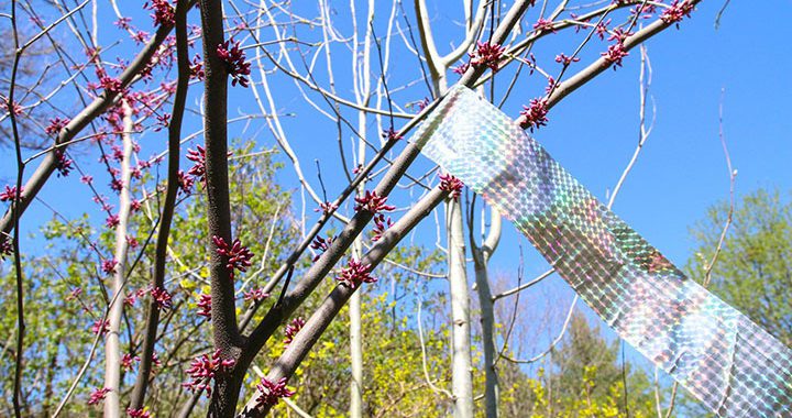 bird tape installation