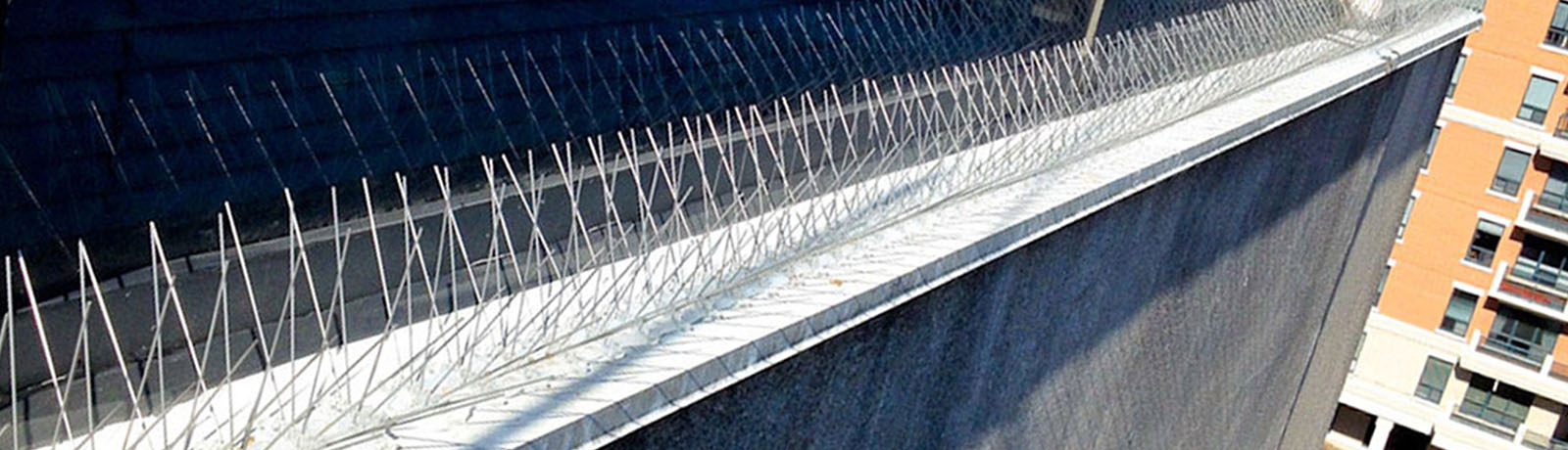 install bird spikes on ledge