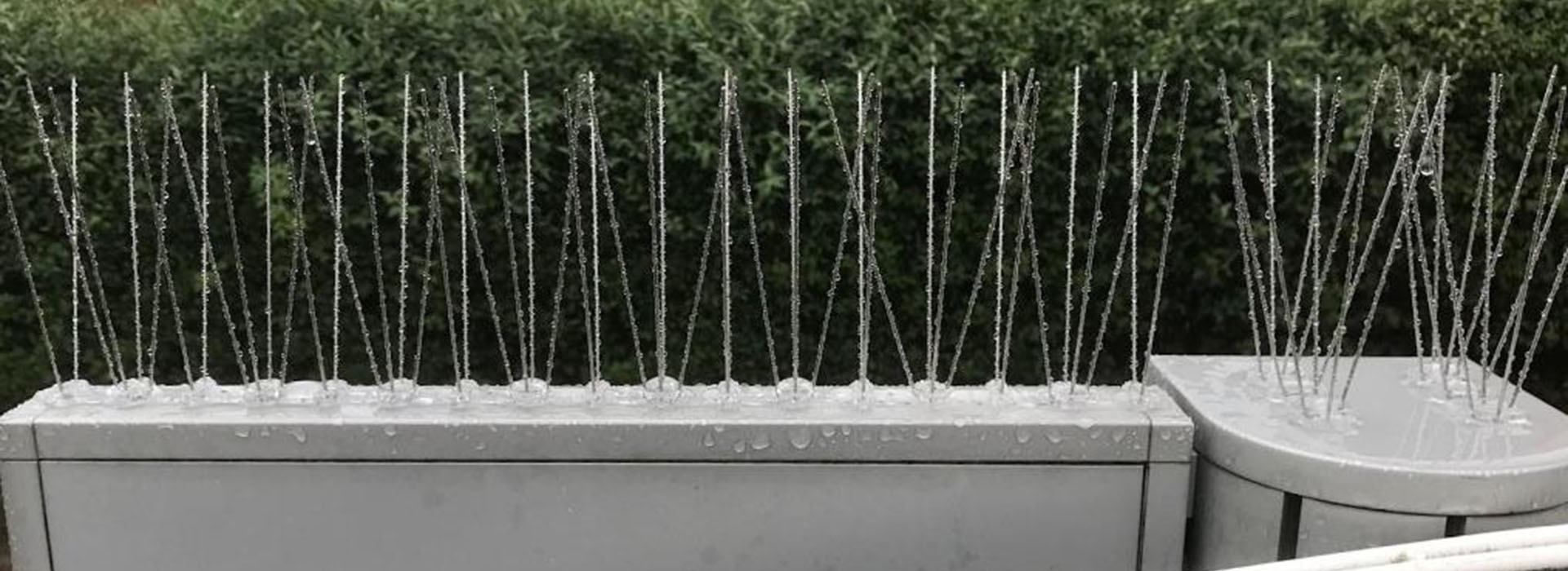 weatherproof steel bird spikes