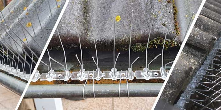 Gutter Drainer Protector Polycarbonate Base Stainless Steel Bird Spikes