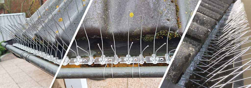 Gutter Drainer Protector Polycarbonate Base Stainless Steel Bird Spikes