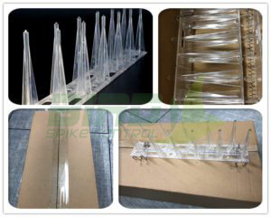 Polycarbonate bird spikes