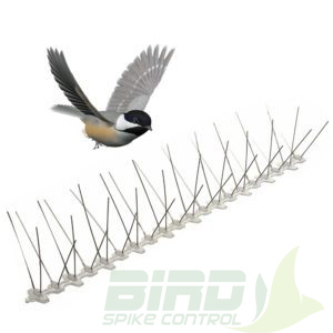 Polycarbonate bird spikes